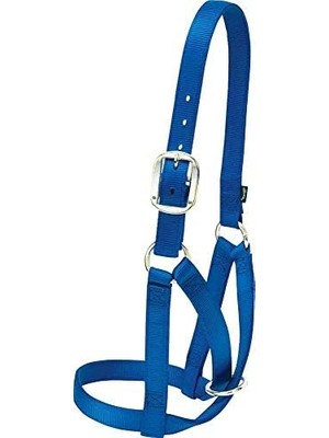 Mabeyn Livestock Cow Barn Halter, Mavi, Medium