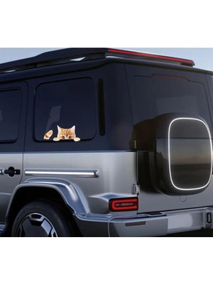 Mabeyn Arabadan Dışarı Bakan Sarman Kedi Stickerı