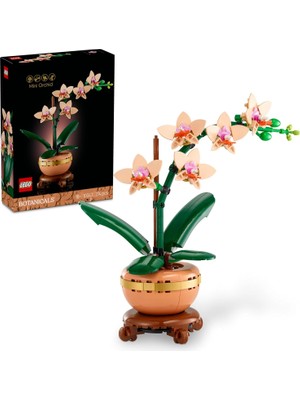 Mabeyn Botanicals Mini Orkide 10343 – Yetişkinler Için Açık Renkli Terakota Saksı ve Ahşap Efektli Kaide Içeren Sevgililer Günü'ne Özel Yapay Çiçek Modeli Yapım Seti (274 Parça)