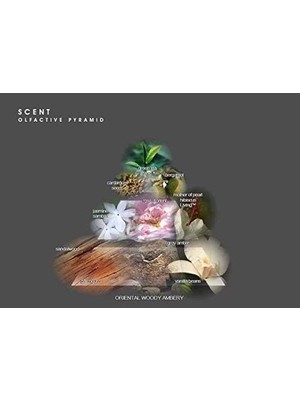 Mabeyn Costume Scent Edp Natural Spray 100 ml Kadın Parfüm 1 Paket (1 x 100 Ml)