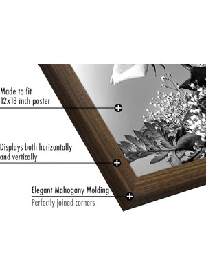 Mabeyn Maun Içinde 12X18 Poster Çerçevesi - Tasarlanmış Ahşap Çerçeve ve Cilalı Pleksiglas Kapaklı Fotoğraf Çerçevesi - Dahili Asma Donanımı ile Duvar Için Yatay ve Dikey Formatlar