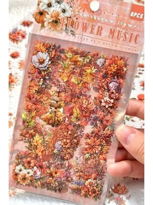 Berry Store Kolbi 6 Sayfa 80 Adet Şeffaf Turuncu Çiçek Sonbahar Bullet Journal Ajanda Planlayıcı