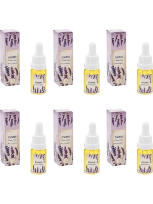 DMR Home Mystique Lavanta Aromatik Esansiyel Uçucu Yağ Seti 6 Adet