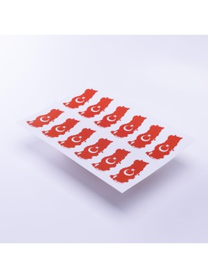 DMR Home Türkiye Haritası Temalı Sticker, A5 2 Adet
