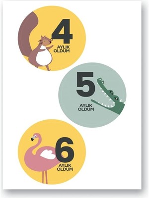 DMR Home Lecolor Bebek Seti