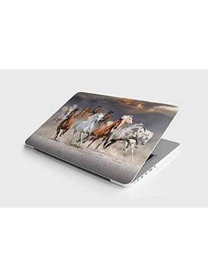 DMR Home Laptop Notebook Pc Kaplama Etiketi Atlar