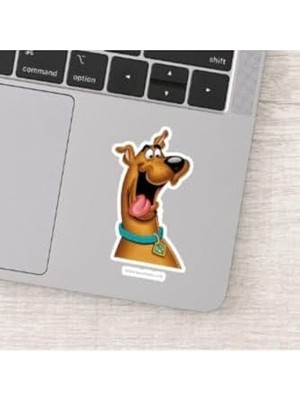 Assess Store Scooby Doo Özel Tasarım 20'li Seti