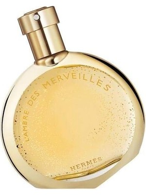 DMR Home Hermès L Ambre Des Merveilles Edp 100ML
