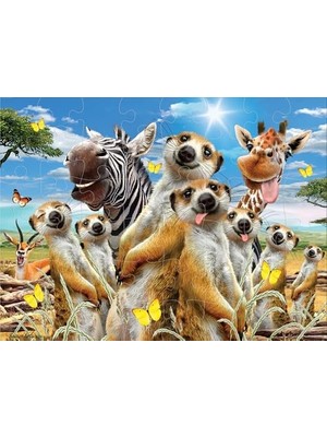 DMR Home 3D - Mirket Selfie - 48 Parça Puzzle