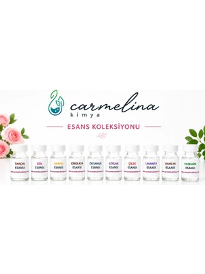 Carmelina 10 Esans Seti En Popiler 10 Mum Kokusu