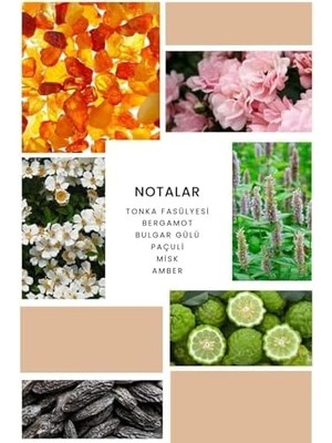 Expresstore Ixora K352 Stiletto Kadın Parfüm 100 ml Edp