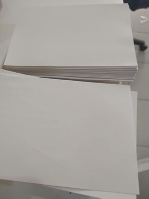 Assess Store A6 Etiket Tüm Yazıcılar Için 100 Adet Mat Kuşe Yapışkanlı Etiket -10X15 cm -A6 Boş -Paketleme