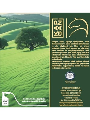 Assess Store Yeşil Çim Gübresi (Sprey)