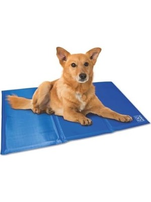 Assess Store Frozen Köpek Serinletici Minder (Xl) 110X70CM