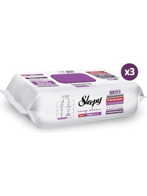Assess Store Orkide Bahçesi Yüzey Temizlik Havlusu Mendili 3X100 (300 Yaprak)