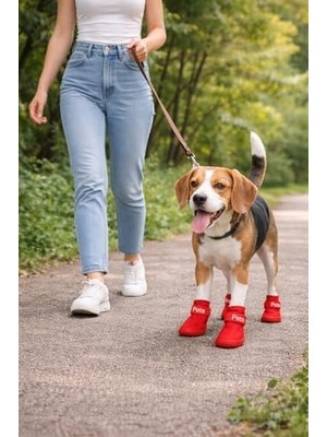 Assess Store Köpek Ayakkabısı 4’lü Set Su Geçirmez Kaymaz Tabanlı Köpek Botu Küçük Orta Irk Köpekler Için Koruyucu Patik Yağmur Kar Çamur Için Dayanıklı Evcil Hayvan Ayakkabısı Kırmızı (Small)