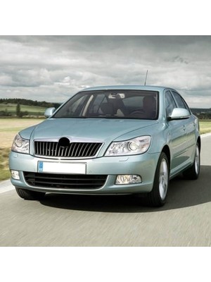 Assess Store 1.4tsi Cax Motor Buji Takımı 101905626 Octavia A6 ile Uyumlu 2009-2012