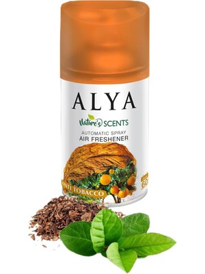 Assess Store Alya 's Scents Anti Tobacco Oda Kokusu Yedek Makine Spreyi 250 ml