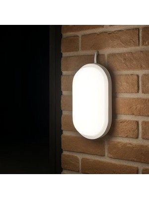 Cekar Store Aydos 15W IP65 Oval Beyaz LED Tavan ve Duvar Lambası | 6500K Beyaz Işık | Su ve Toz Geçirmez Banyo Bahçe Balkon Aydınlatma Armatürü | Yüzeye Monte, 1500 Lümen (220V)          [enerji Sınıfı A+]