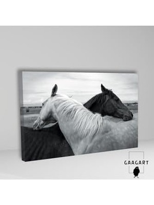 Assess Store Tekli Yatay Kanvas Dekoratif Duvar Tablosu Siyah Beyaz Atlar, 120 x 80