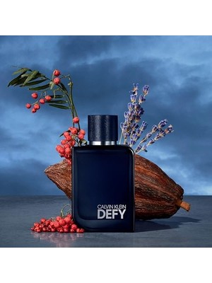 Assess Store Calvin Defy Erkek Parfüm 100 Ml, 3616304183621