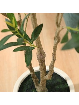 Assess Store Yapay Zeytin Ağaçları, Iç Mekan Için 1,5 M Uzunluğunda Sahte Zeytin Ağaçları, Zeytin Ipek Ağacı, Ev Dekoru ve Yeni Eve Taşınma Hediyesi Için Beyaz Saksılı Büyük Zeytin Bitkileri, 1 Paket