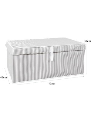 Assess Store Çok Amaçlı Kapaklı Sandık Tipi Hurç Organizer – Büyük Boy Saklama Kutusu – Dolap Içi, Yatak Altı ve Altı Için Sert ve Dayanıklı Depolama Çözümü – Katlanabilir (Gri, 70X40X30 Cm)