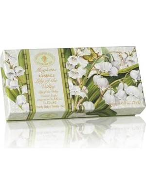 Assess Store Saponificio Artigianale Fiorentino Sabun 3X125 gr - Lily Of The Valley