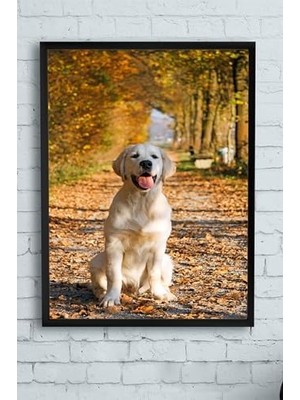 Assess Store (PSTER11124) Retriever Hayvan Çerçeveli Tablo (50X70CM)