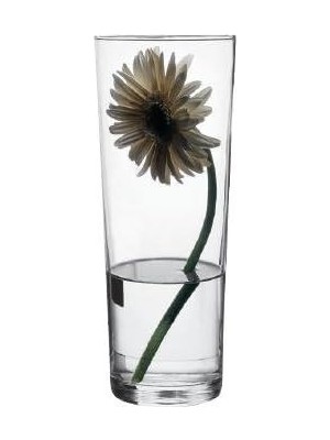 Assess Store 43177 – Cam Vazo Flora, Zarif, Yüksek, Zamansız, Yükseklik 26 cm