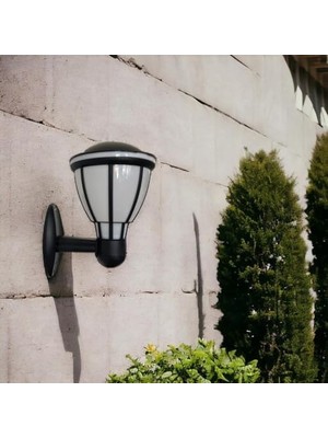 Assess Store Zita Kupa Bahçe Duvar Apliği 37 cm | E27 Duy | IP54 Dış Mekan Duvar Lambası | Uv Protection | Bahçe, Teras, ve Yürüyüş Yolu (Ampul Hariç)