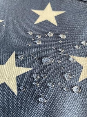 Assess Store Cepli Su Geçirmez Mutfak Önlüğü Yıldızlı Mavi
