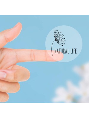 Daisy Home Şeffaf Sticker, Natural Life 1 Sayfa