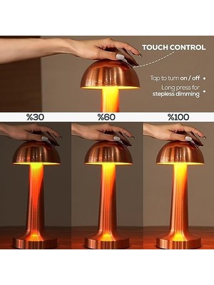 Daisy Home Modern Taşınabilir Masa Lambası, Şarj Edilebilir Batarya, Led, 24 Saate Kadar Uzun Kullanım Süresi, Şık Restoranlar/yatak Odası/akşam Yemeği/kahve Masası 3 Seviye Parlaklık, Metal - Bakır Renk