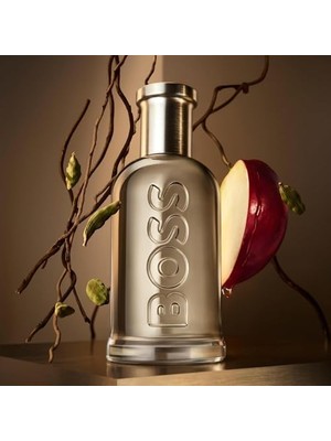 Daisy Home Hugo Bottled Edp 100 ml Erkek Parfüm