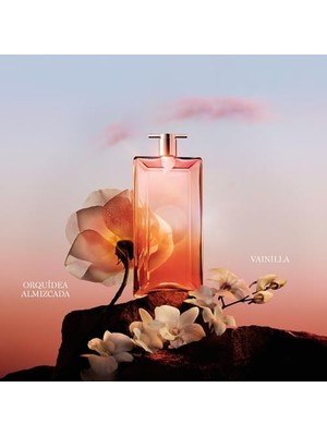 Daisy Home Lancome Idole Now Edp Kadın Parfümü 100 Ml, LE244700