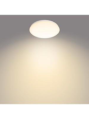 Daisy Home Fonksiyonel Tavan Lambası 17W 2700K Sarı Işık Entegre LED