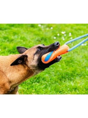 Teknocan Chuckit! Ultra Bumper Tug Köpek Çekiştirme Oyuncağı