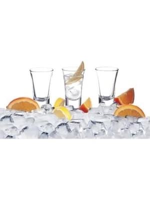 Teknocan Bardak Shots 40 cc 12LI 8697450996324