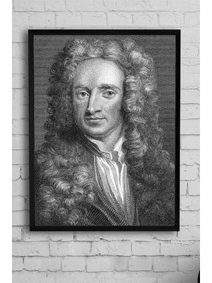 Teknocan (PSTER12814) Newton Bilimsel Çerçeveli Tablo (50X70CM)