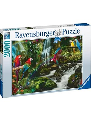 Teknocan 2000 Parçalı Puzzle Renkli Papağanlar