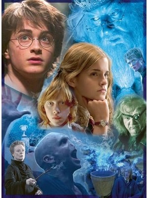 Teknocan 500 Parçalı Puzzle Potter