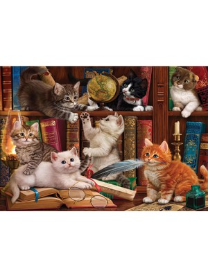 Teknocan 500 Parça Puzzle : Kediler ve Kitaplar