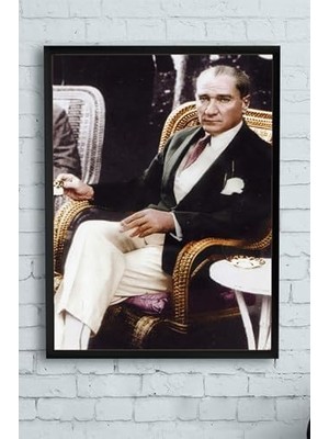 Teknocan (PSTER9913) Atatürk Çerçeveli Tablo 5 (30 x 40CM)