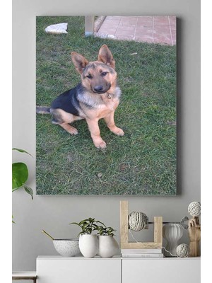 Teknocan (PSTER16781) Kurt Köpeği Hayvan Kanvas Tablo 2 50 x 70