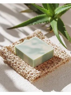 Teknocan El Yapımı Doğal Argan & Aloe Sabunu – Yoğun Nemlendirici, Besleyici ve Onarıcı Bakım