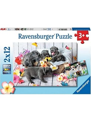 Teknocan , 2X12P Puzzle Yavru Köpekler, Çocuk Puzzle