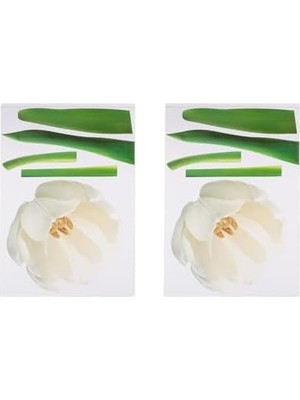Teknocan Duvar Süsü (Sticker) 2 Adet Çiçekli Şeffaf Filmli Pvc 70X50X0,5CM