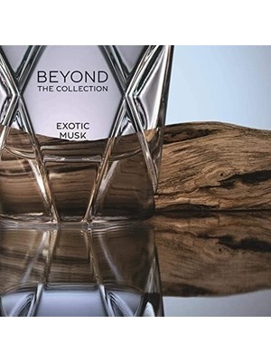 Teknocan Bentley Exotic Musk Edp 100 ml Erkek Parfüm