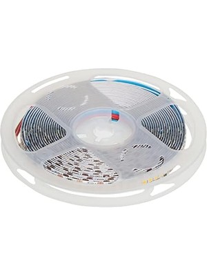 Teknocan Cata CT-4538G 240 Çipli G.ışığı LED Şerit(5 Mt) Cata